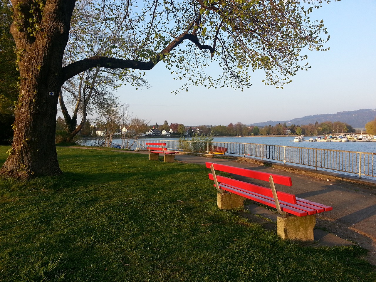 和精确的战 和精确的战