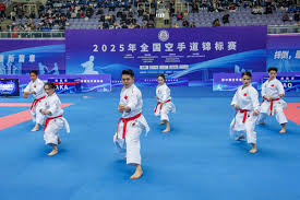 球迷的目光 球迷的目光